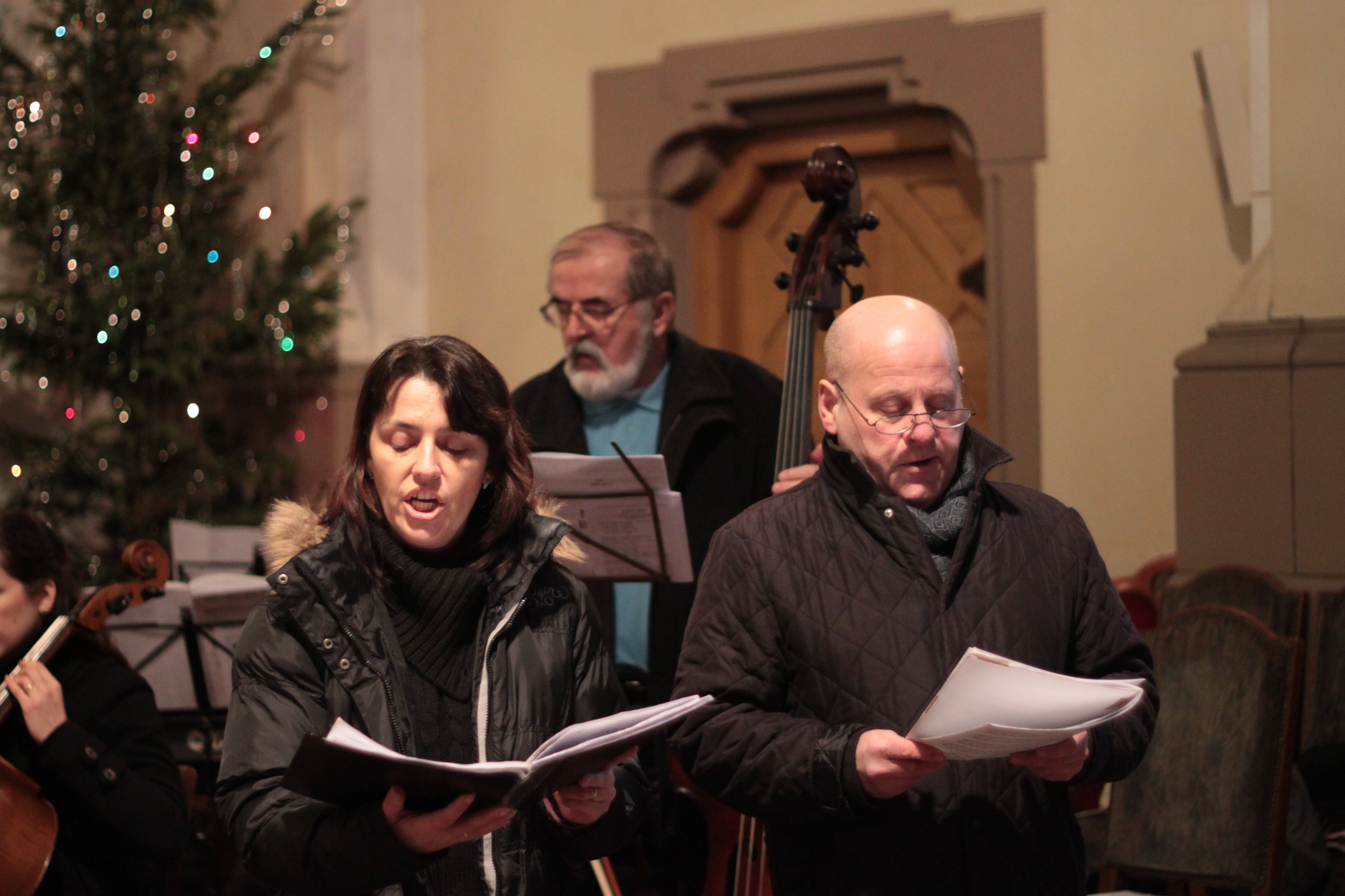 ti krli 2014